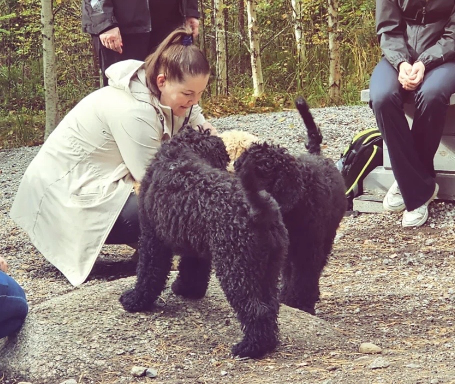 Boheme -pentueen pentutapaaminen 2025